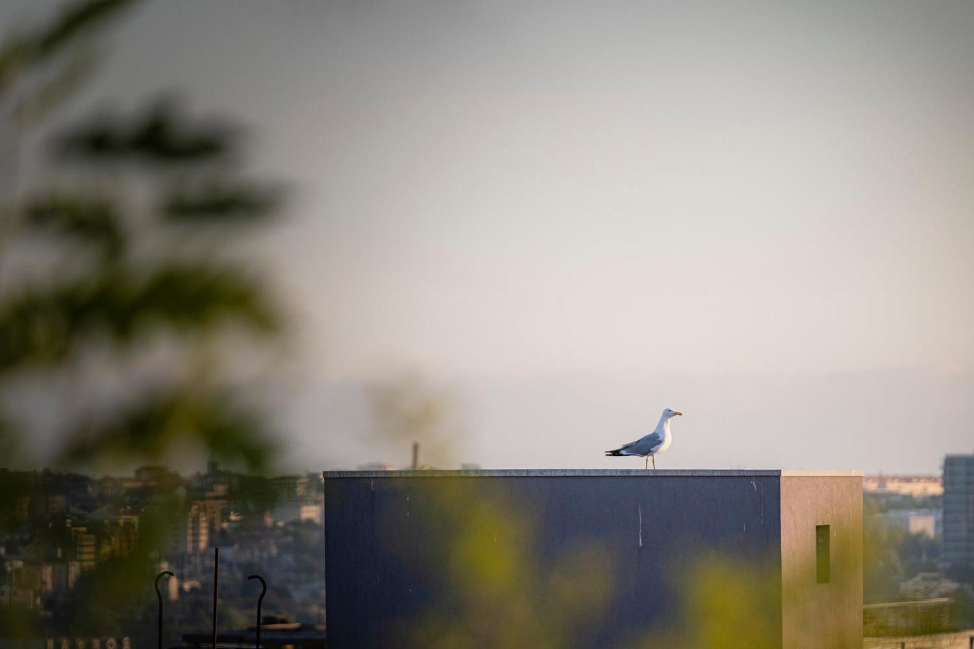 Apartmán Sittium Porto Exteriér fotografie